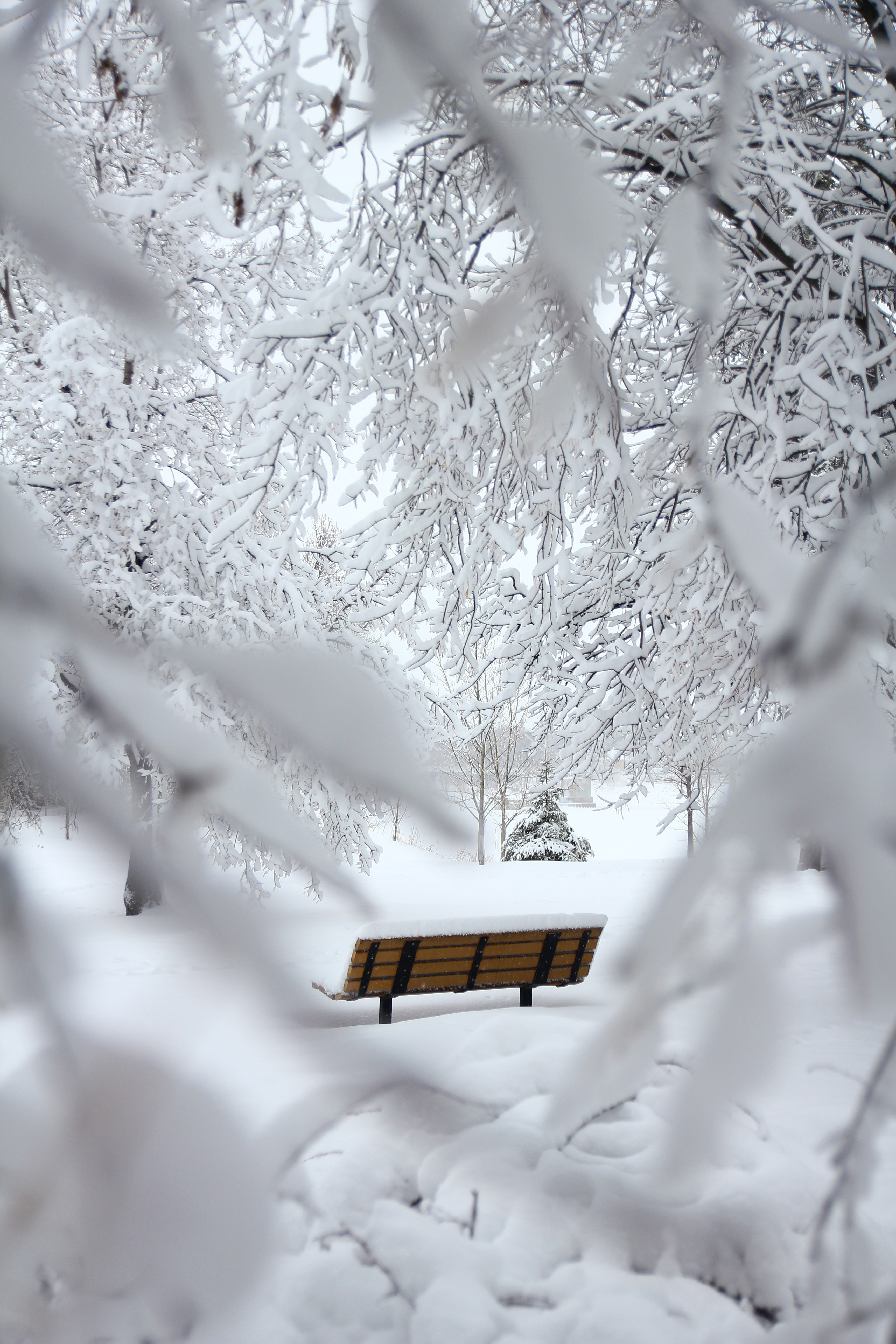 brown-outdoor-bench-with-snow-on-top-954713.jpg